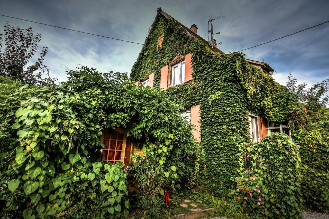 הוילה Ebersheim ❊ Au Murmure De L'Eau Au Coeur De L'Alsace ❊ מראה חיצוני תמונה